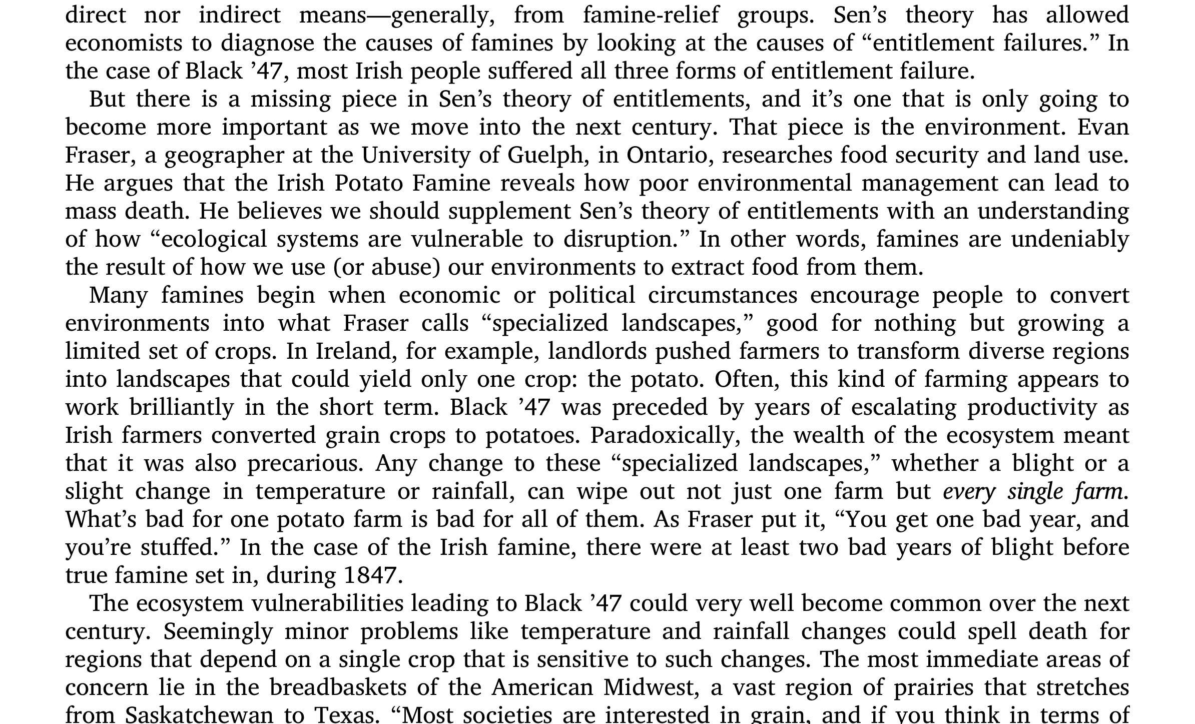 Florida travel companion Keiki in a polished portrait